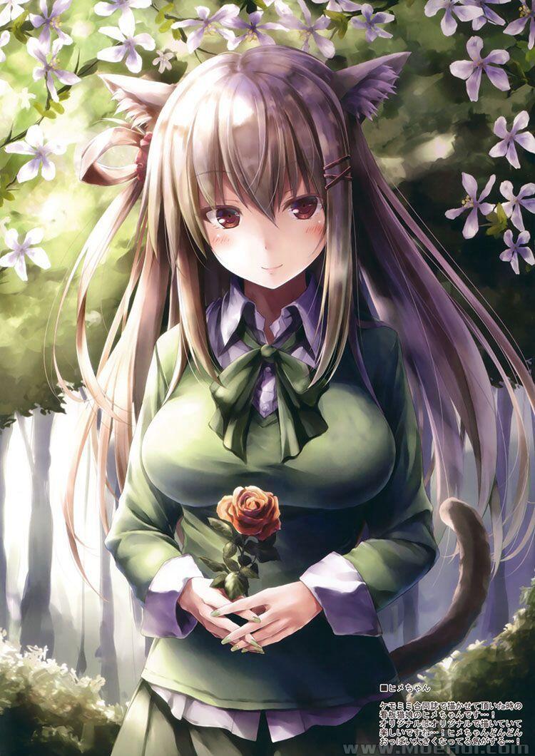 [画集][翠苑 (翠燕)]WALNUT78 8th 舰娘同人画集