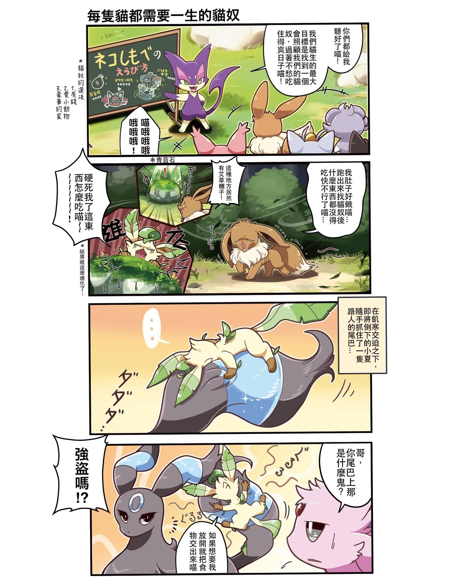 POKEMON「當我貓奴，給我好料！」