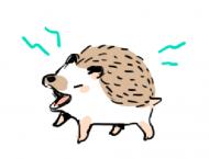 日日日日日