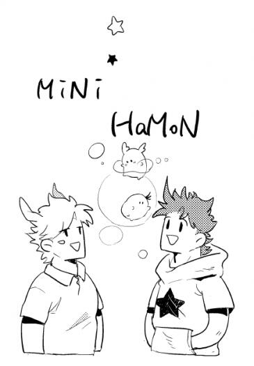 MINI HAMON