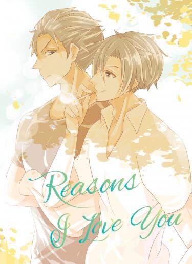 全職高手 韓葉小說本 Reasons I Love You