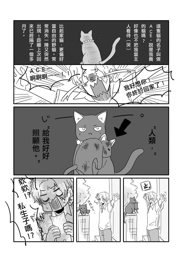 海賊王盃兄弟合本《Neko x Neko》