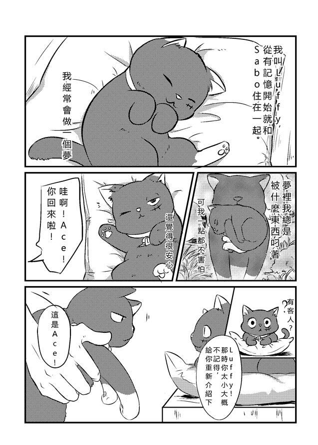 海賊王盃兄弟合本《Neko x Neko》