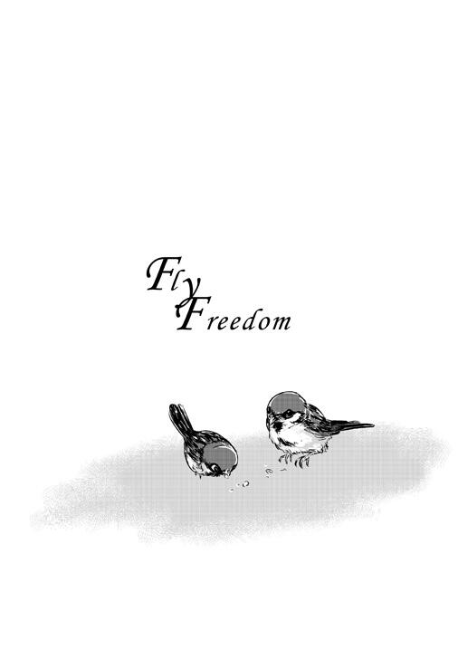 FlyFreedom