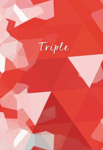 CWT55 文豪野犬小說本《Triple》【CWT56場販有】