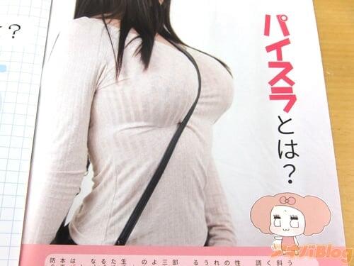 π/同人志「斜背乳调查本/パイスラ调査本」 斜背乳的魅力、斜背乳故事集、斜背乳的回避法