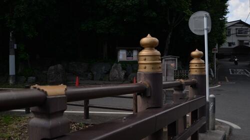 学习安哥好榜样，《月色真美》第 8 话川越冰川神社圣地巡礼