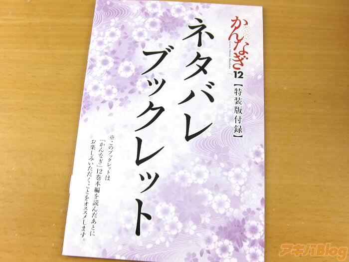 神之少女/かんなぎ第１２卷特装版「终于完结了！很好的结局！」