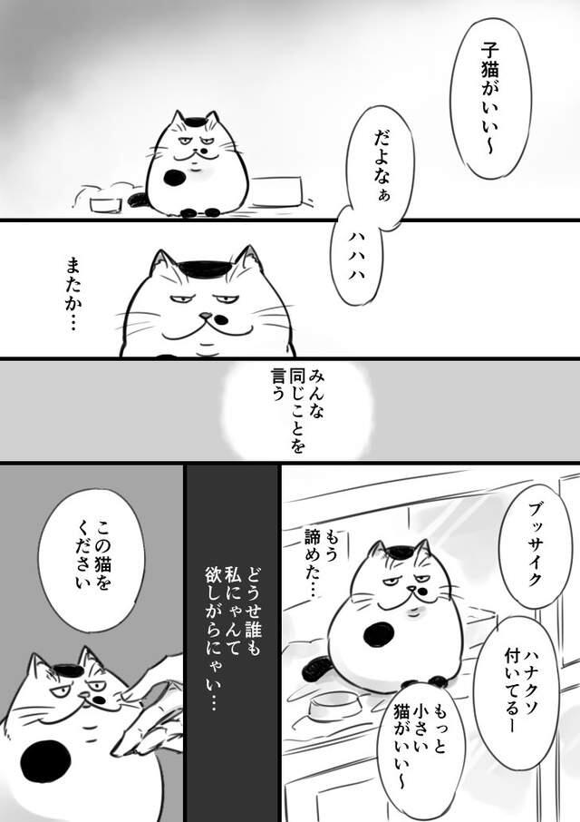 推特爆红《大叔与猫》超温馨感人的网路漫画热泪连载中