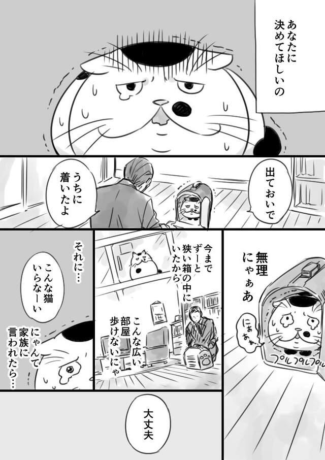 推特爆红《大叔与猫》超温馨感人的网路漫画热泪连载中