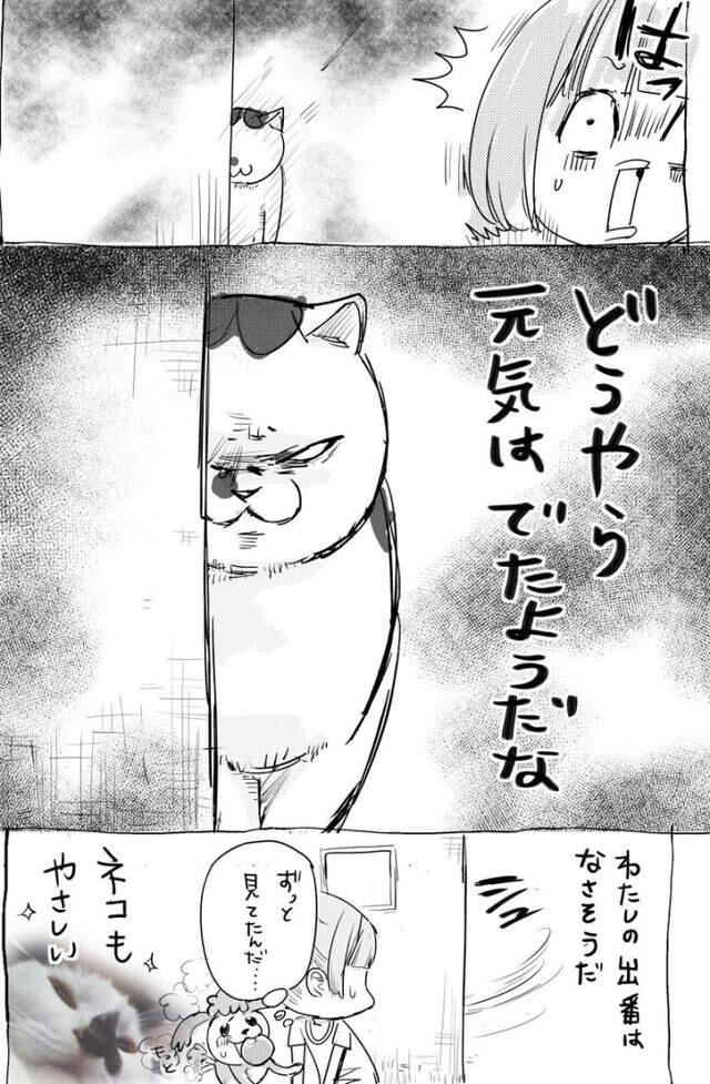 《猫咪色保健室》家里的猫前辈带给作者源源不绝的灵感♡