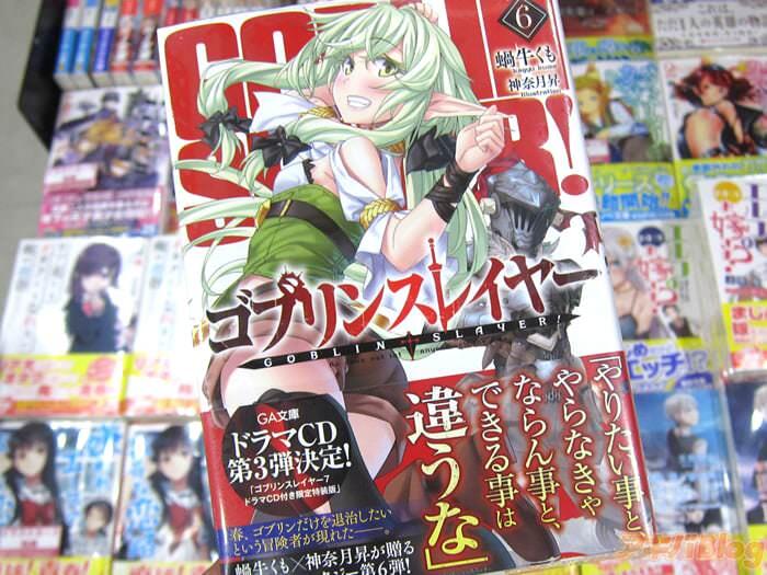 轻小说Goblin Slayer/ゴブリンスレイヤー第6卷「春天，只退治哥布林的冒险者出现了-」