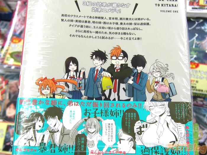 うちの姉ちゃんときたら！第１卷「暴君姉、お子様姉、过保护姉。姐弟喜剧开开幕！」