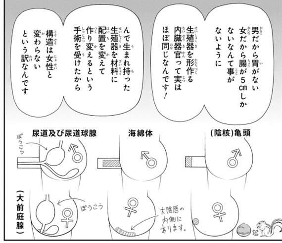 《性转换后才知道的保健体育》变性漫画家小西真冬新单行本发售