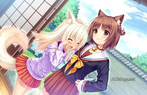 冲就完了，NEKOPARA 仔猫篇游戏与 OVA 7 月 27 日推出