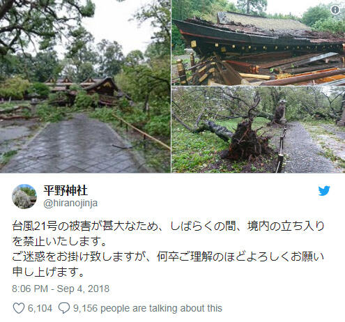 台风袭击日本，《京吹部》圣地宇治神社鸟居倒塌，应援棒充当照明光源