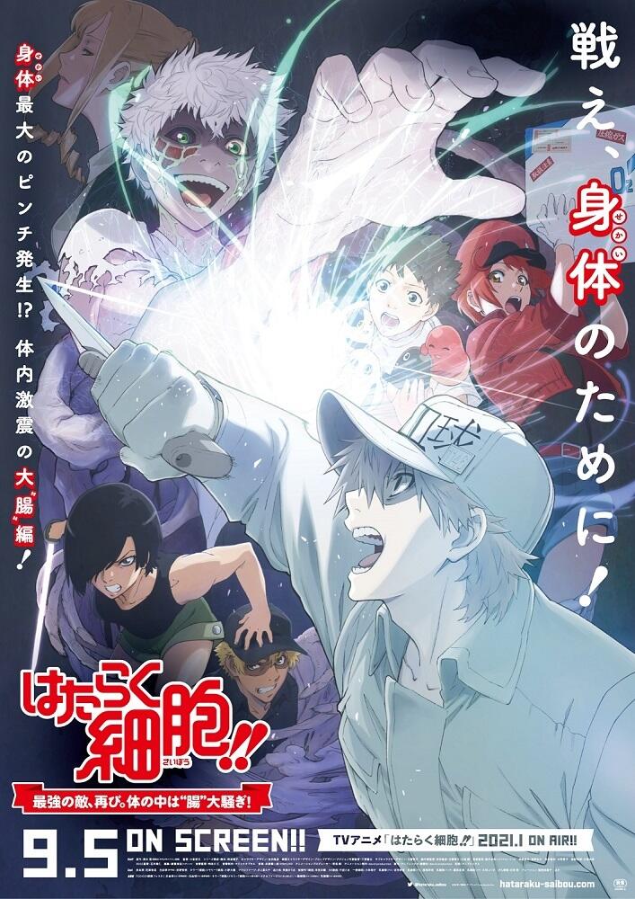 剧场版《特别上映版「工作细胞!!」》正式PV公开，9月5日上映