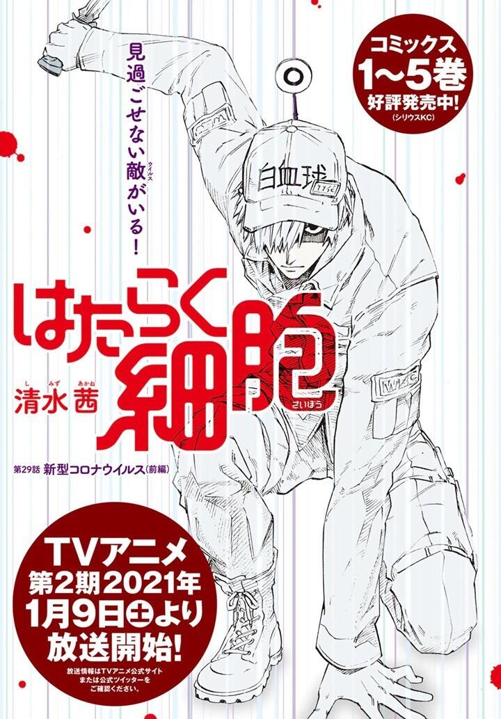 紧跟时事，漫画《工作细胞》即将完结，最终篇为《新冠篇》