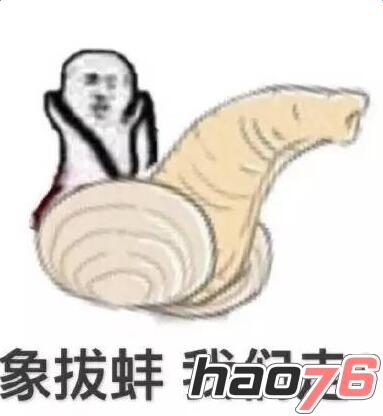 象拔蚌我们走表情包是什么意思