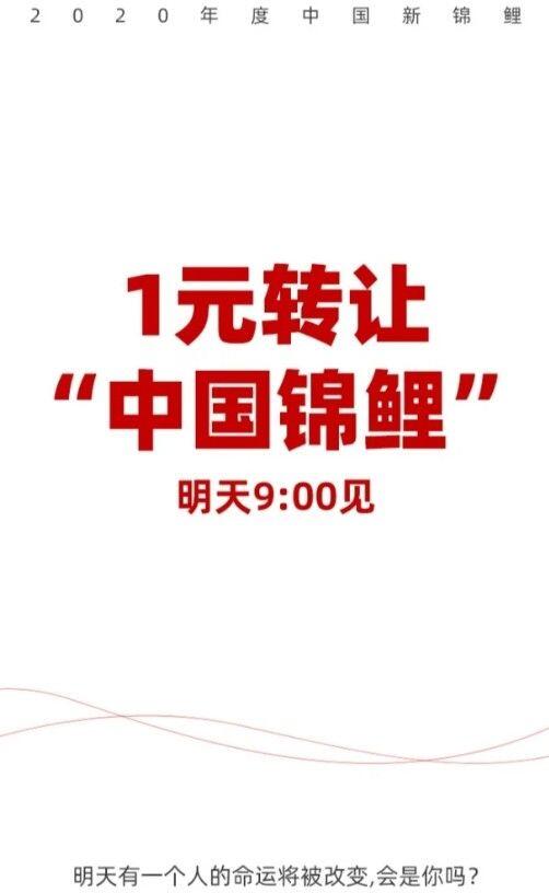 超级主播KING2020锦鲤活动怎么参加？信小呆一元转让锦鲤活动参与方法