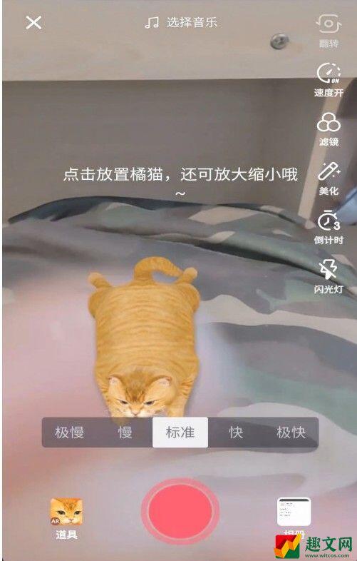 抖音AR橘猫怎么放置？AR橘猫放置方法