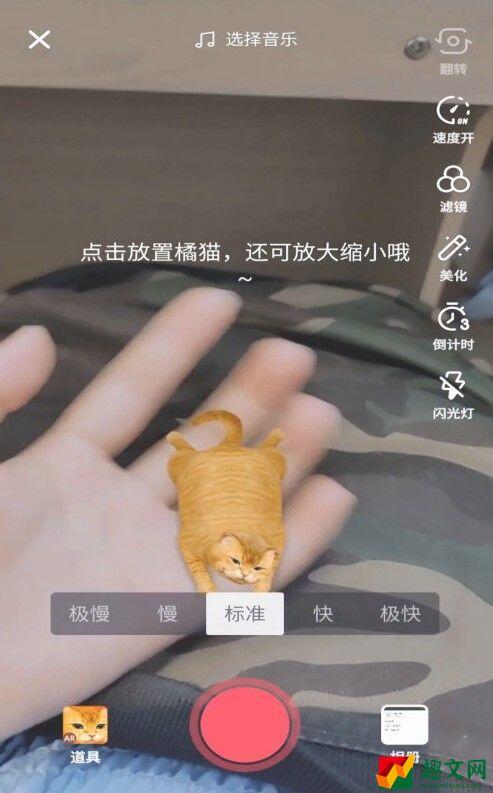 抖音AR橘猫怎么放置？AR橘猫放置方法