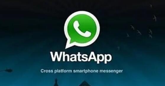 whatsapp国内怎么使用-国内使用方法