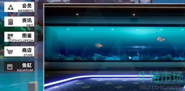 幻塔鱼怎么展示 水族馆展示鱼方法