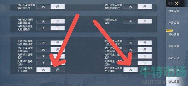 和平精英战绩怎么设置不让别人看 隐藏战绩设置方法