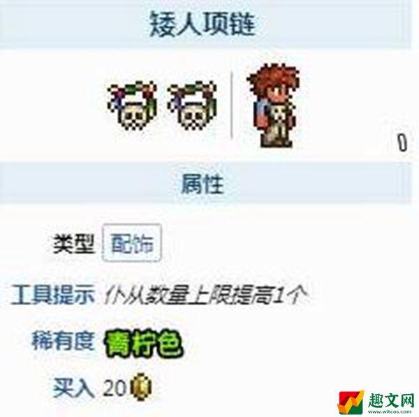 泰拉瑞亚召唤师毕业饰品有哪些-召唤师毕业饰品