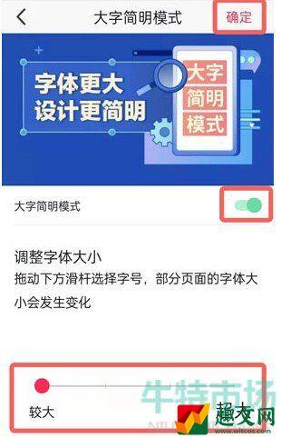 抖音大字简明模式在哪里 大字简明模式设置教程